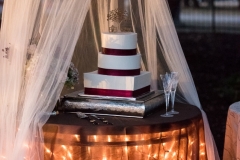 Emily+Hosea--Private Home-2015